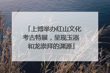 上博举办红山文化考古特展，呈现玉器和龙崇拜的渊源