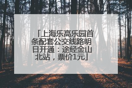 上海乐高乐园首条配套公交线路明日开通：途经金山北站，票价1元