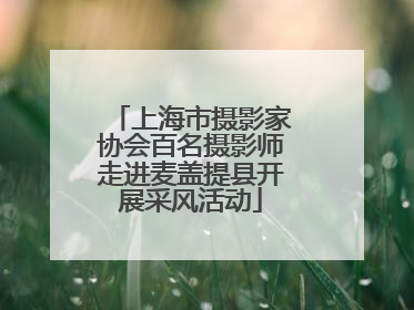 上海市摄影家协会百名摄影师走进麦盖提县开展采风活动
