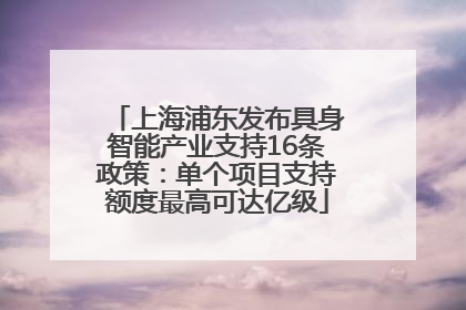 上海浦东发布具身智能产业支持16条政策：单个项目支持额度最高可达亿级