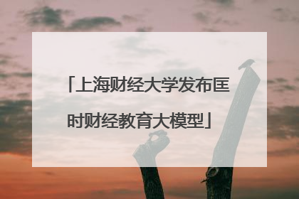 上海财经大学发布匡时财经教育大模型