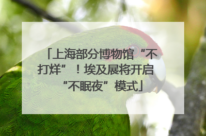 上海部分博物馆“不打烊”！埃及展将开启“不眠夜”模式