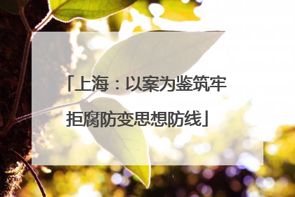 上海：以案为鉴筑牢拒腐防变思想防线