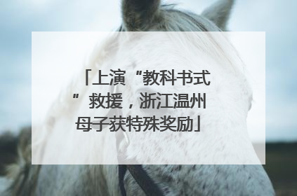 上演“教科书式”救援，浙江温州母子获特殊奖励