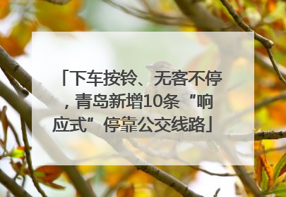 下车按铃、无客不停，青岛新增10条“响应式”停靠公交线路