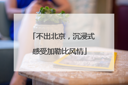 不出北京，沉浸式感受加勒比风情