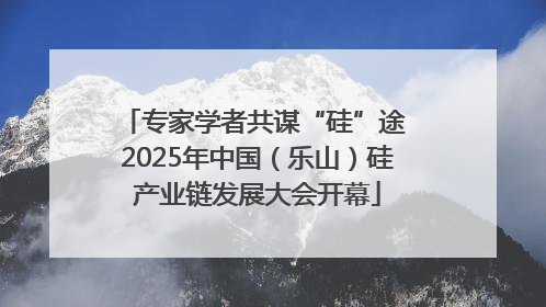 专家学者共谋“硅”途 2025年中国（乐山）硅产业链发展大会开幕