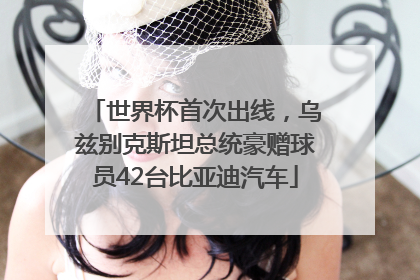 世界杯首次出线，乌兹别克斯坦总统豪赠球员42台比亚迪汽车