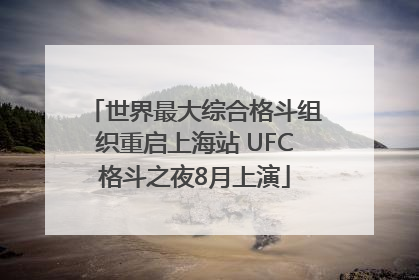 世界最大综合格斗组织重启上海站 UFC格斗之夜8月上演