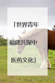 世界青年福建共探中医药文化