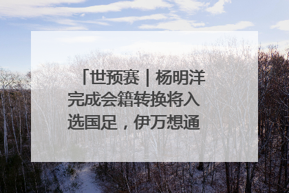 世预赛｜杨明洋完成会籍转换将入选国足，伊万想通了要打双后腰？
