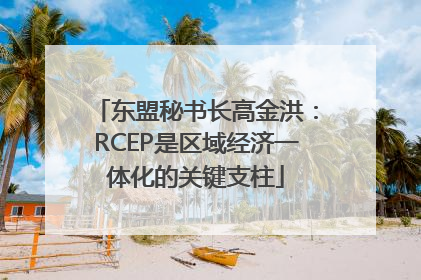 东盟秘书长高金洪：RCEP是区域经济一体化的关键支柱
