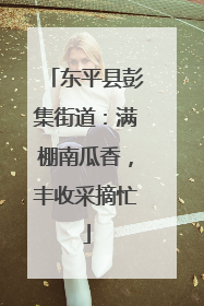 东平县彭集街道：满棚南瓜香，丰收采摘忙