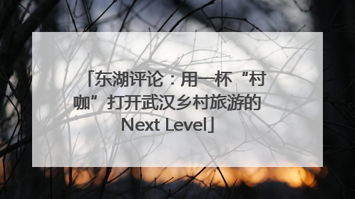 东湖评论：用一杯“村咖”打开武汉乡村旅游的Next Level