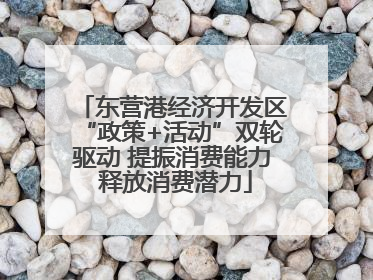 东营港经济开发区“政策+活动”双轮驱动 提振消费能力 释放消费潜力