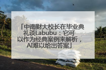 中南财大校长在毕业典礼谈Labubu：它可以作为经典案例来解析，AI难以给出答案