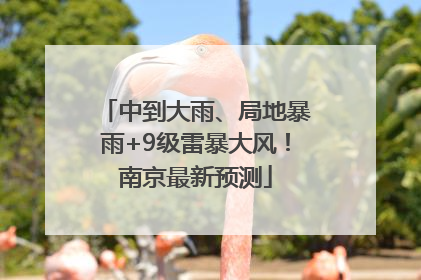 中到大雨、局地暴雨+9级雷暴大风！南京最新预测