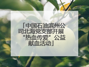 中国石油滨州公司北海党支部开展“热血传爱”公益献血活动