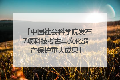 中国社会科学院发布7项科技考古与文化遗产保护重大成果
