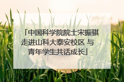 中国科学院院士宋振骐走进山科大泰安校区 与青年学生共话成长