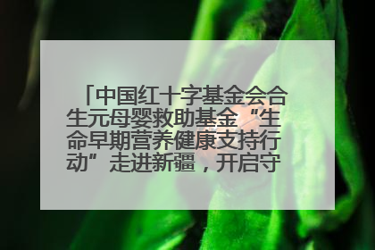 中国红十字基金会合生元母婴救助基金“生命早期营养健康支持行动”走进新疆，开启守护母婴新篇章！