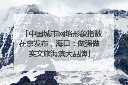 中国城市网络形象指数在京发布，海口：做强做实文旅海滨大品牌