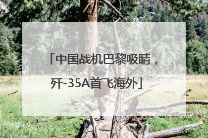 中国战机巴黎吸睛，歼-35A首飞海外