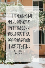 中国水利电力物资华南有限公司党员突击队勇当新能源市场开拓排头兵