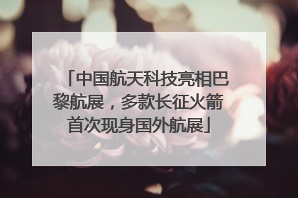 中国航天科技亮相巴黎航展，多款长征火箭首次现身国外航展