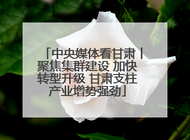 中央媒体看甘肃丨聚焦集群建设 加快转型升级 甘肃支柱产业增势强劲