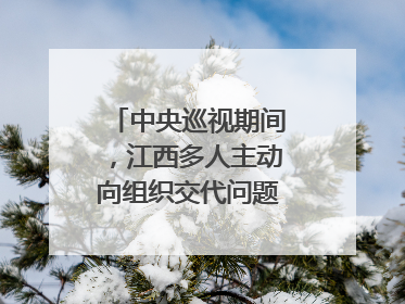 中央巡视期间，江西多人主动向组织交代问题｜打虎拍蝇