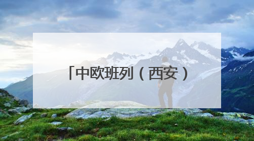 中欧班列（西安）今年以来开行超2500列，多条铁海联运线路连接山东