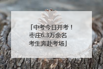 中考今日开考！枣庄6.3万余名考生奔赴考场