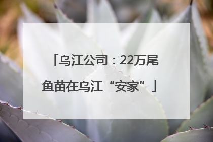 乌江公司：22万尾鱼苗在乌江“安家”