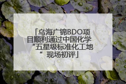 乌海广锦BDO项目顺利通过中国化学“五星级标准化工地”现场初评