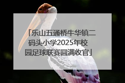 乐山五通桥牛华镇二码头小学2025年校园足球联赛圆满收官