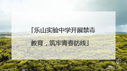 乐山实验中学开展禁毒教育，筑牢青春防线