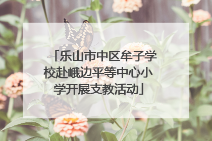乐山市中区牟子学校赴峨边平等中心小学开展支教活动