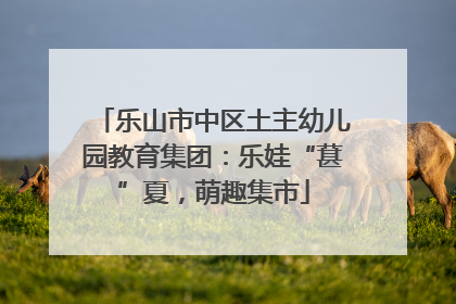 乐山市中区土主幼儿园教育集团：乐娃“葚”夏，萌趣集市