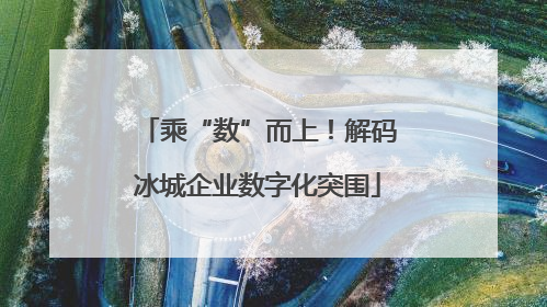 乘“数”而上！解码冰城企业数字化突围