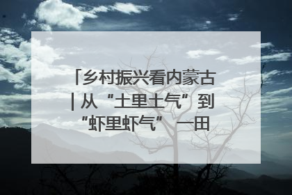 乡村振兴看内蒙古｜从“土里土气”到“虾里虾气” 一田双收模式火出圈