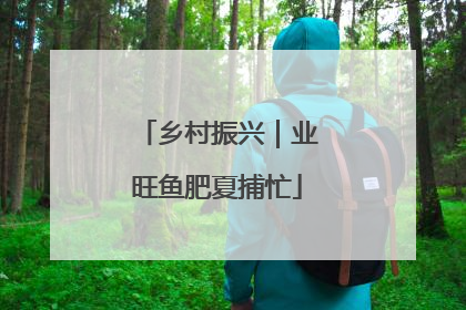 乡村振兴｜业旺鱼肥夏捕忙