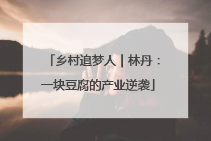 乡村追梦人｜林丹：一块豆腐的产业逆袭