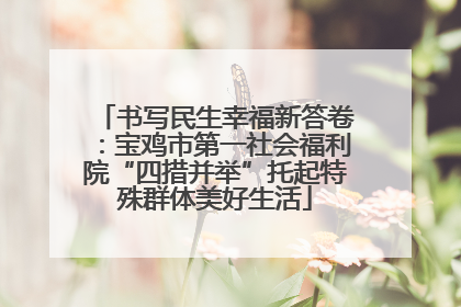 书写民生幸福新答卷：宝鸡市第一社会福利院“四措并举”托起特殊群体美好生活