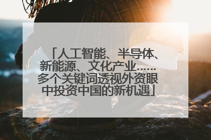 人工智能、半导体、新能源、文化产业……多个关键词透视外资眼中投资中国的新机遇