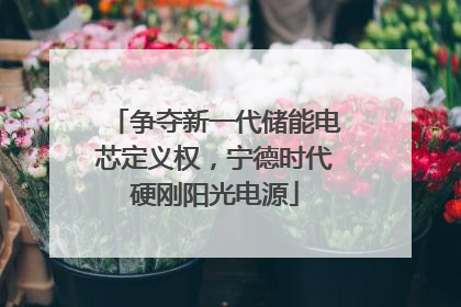 争夺新一代储能电芯定义权，宁德时代硬刚阳光电源