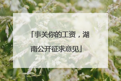 事关你的工资，湖南公开征求意见