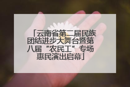 云南省第二届民族团结进步大舞台暨第八届“农民工”专场惠民演出启幕