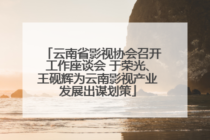 云南省影视协会召开工作座谈会 于荣光、王砚辉为云南影视产业发展出谋划策