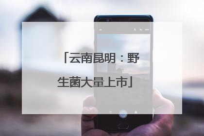 云南昆明：野生菌大量上市